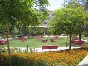 Grand Park 2013