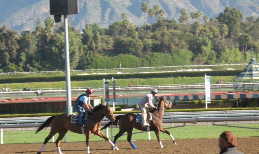 And they’re off!  The horse racing season at Santa Anita track has begun