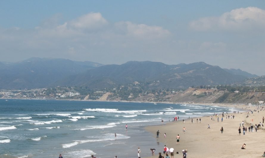 The Santa Monica bike path and my new vampire novel–yep, they go together