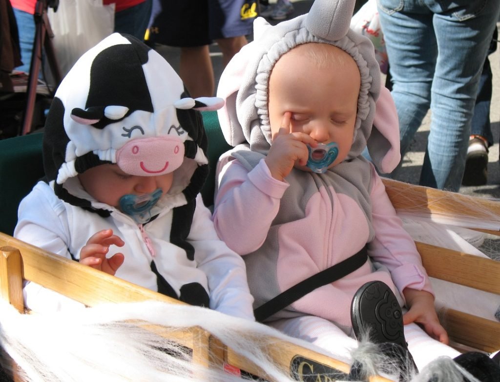 twin babies in Halloween costumes