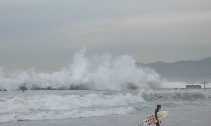 So chilly!  Surfing at Venice beach in Los Angeles in December