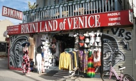 bikiniland shop Venice CA 2014