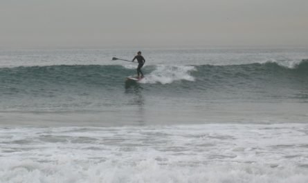 Paddle boarding i n Venice surf