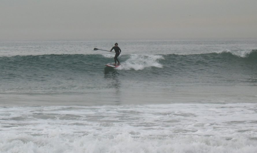 A paddleboarder takes on the big surf at Venice