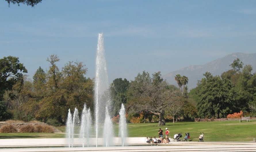 California drought?  There must be 6 inches of water left in that lake at the Arboretum!