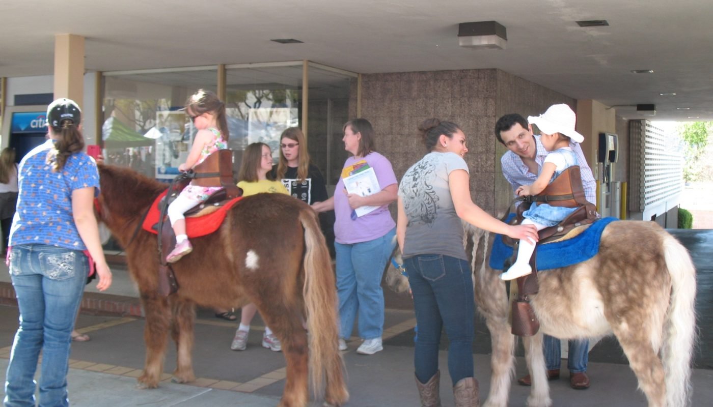 Pony riders at Montrose Harvest Market
