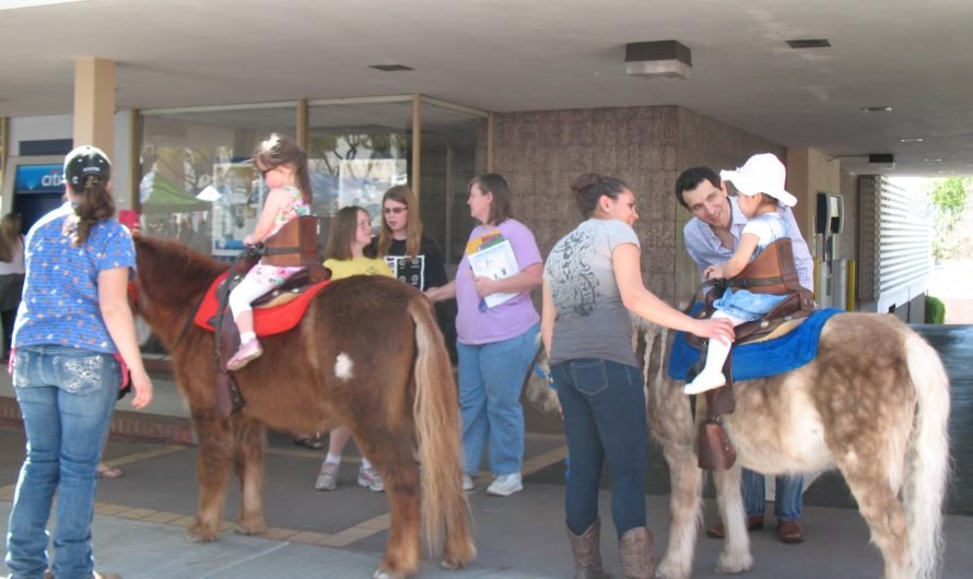 Ride ponies! Pet bunnies! Listen to flamenco jazz on a Sunday morning in Montrose!