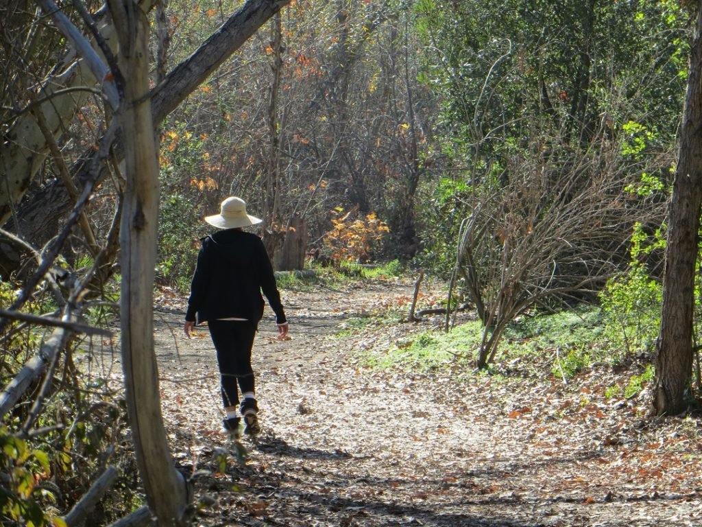 Hiker in Arroyo Seco Park Pasadena