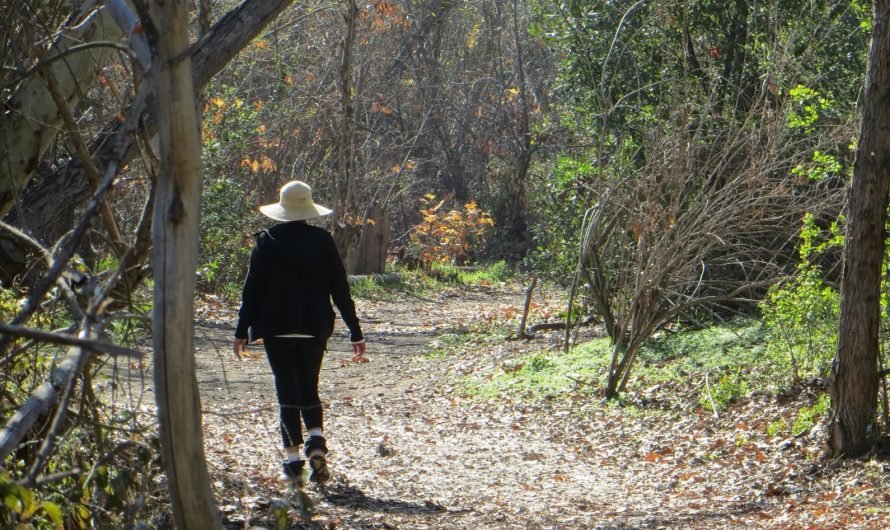 Urban escape into Arroyo Seco with a beautiful bridge and that witch-favorite–datura