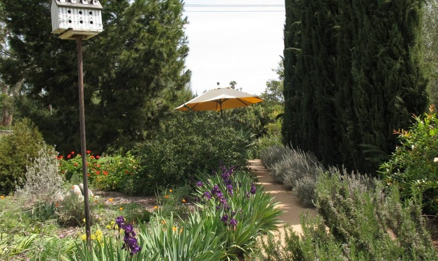 See Arlington Garden in Pasadena on National Arbor Day