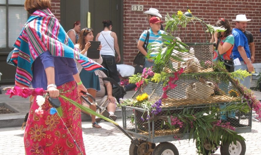 See the Blessing of Animals by Archbishop Gomez at historic Olvera Street in Los Angeles