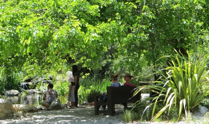 Shakespeare’s ‘Much Ado About Nothing’ at Descanso Gardens and a dud of a Rose Festival
