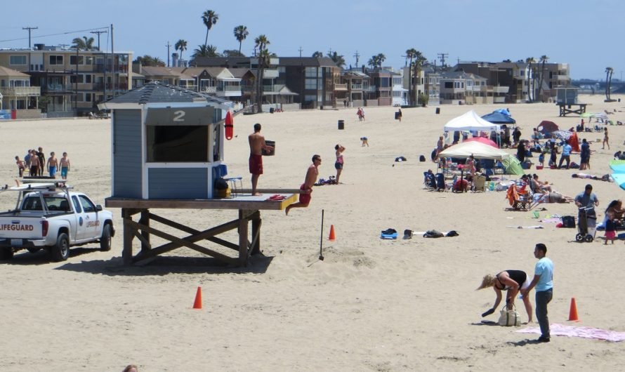 See boogieboarders, a bronze seal and beachgoers at Seal Beach California