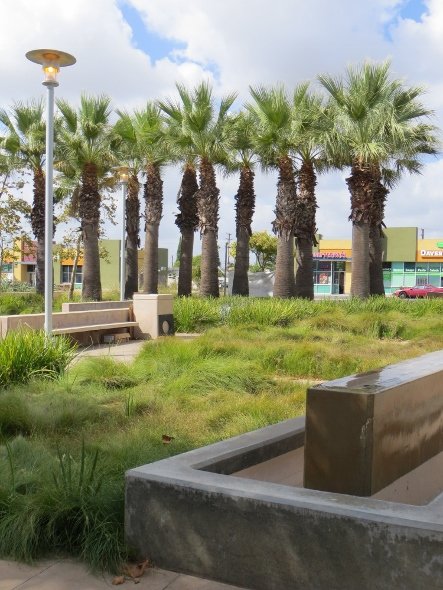 drought tolerant garden East LA civic center