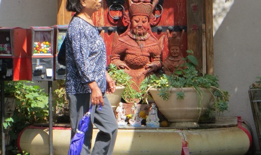 Shopping and seeing the sights in Chinatown