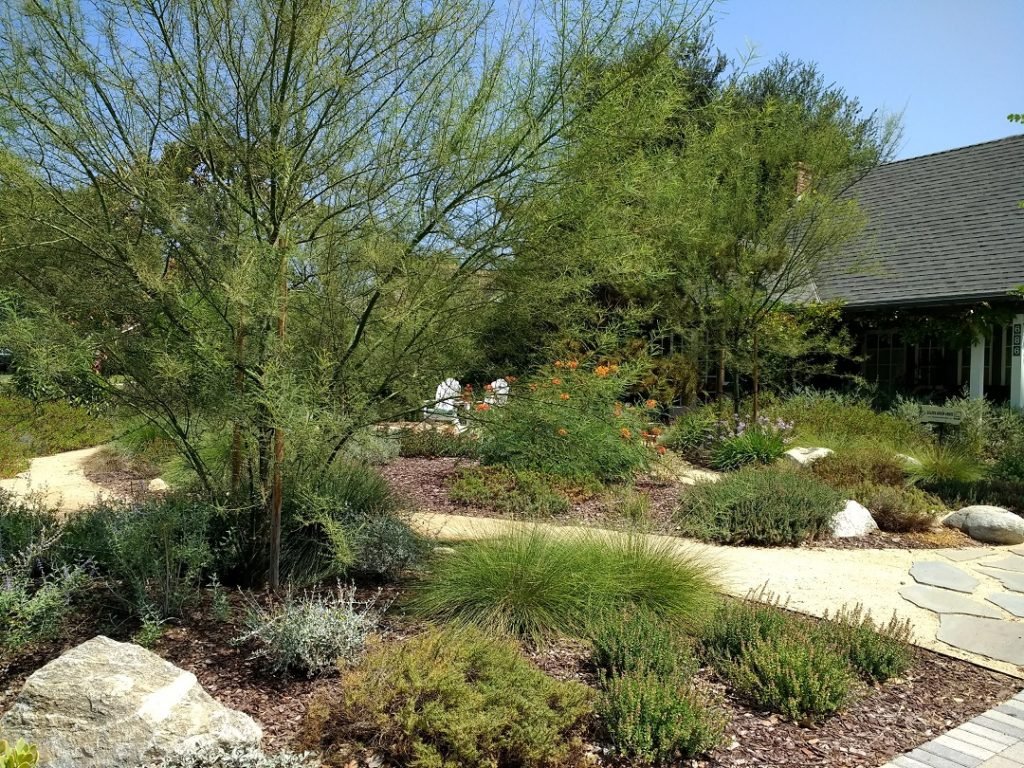 LAWN REEPLACEMENT WITH BERMS