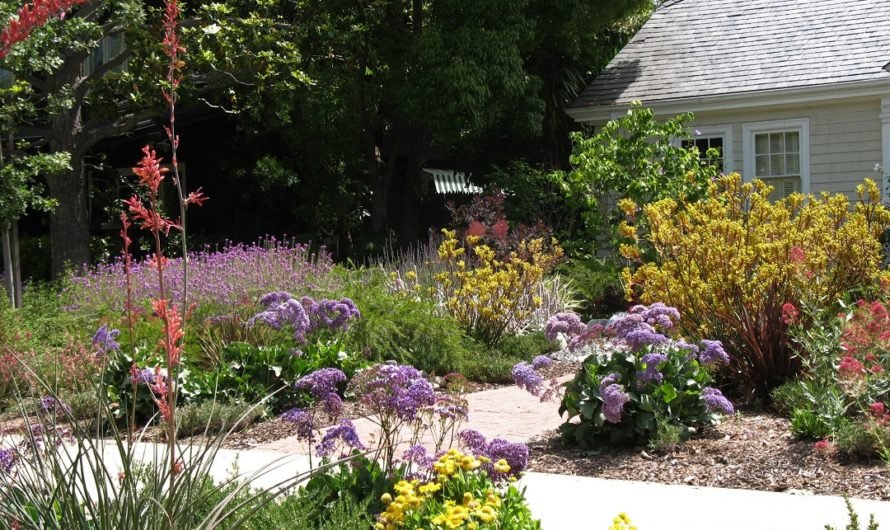 Lawn replacement can be beautiful!  Just see these gorgeous front yards in Pasadena,