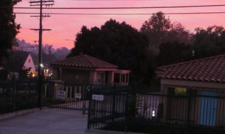 Winter solstice in Los Feliz Los Angeles