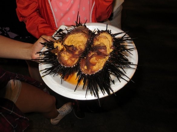 I've eaten sea urchin once on a beach after scuba diving in Northern California. I didn't realize it had become a fast food!Sea urchin plate at the night market