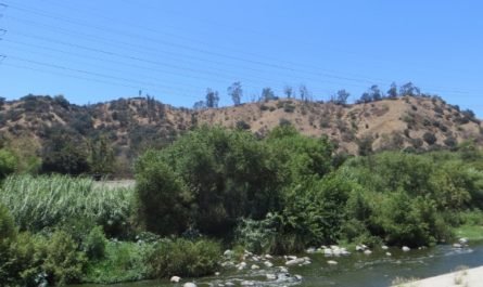 Los Angeles River Glendale Narrows