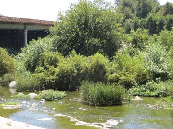 Los Angeles River Glendale Narrows