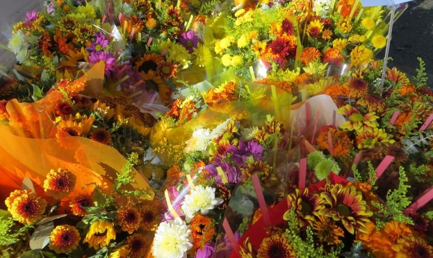 Unusual Farmers Market Produce in Pasadena