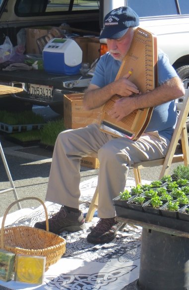 dulcimer player