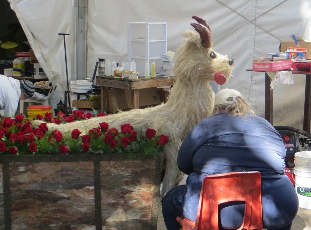 Decorating a goat for Rose Parade float 2016