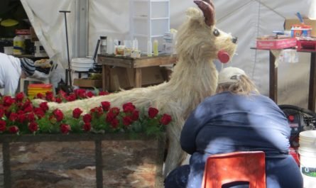 Decorating a goat for Rose Parade float 2016