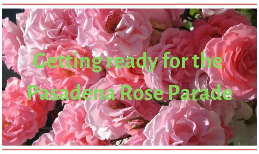 Getting ready for the Rose Parade in Pasadena