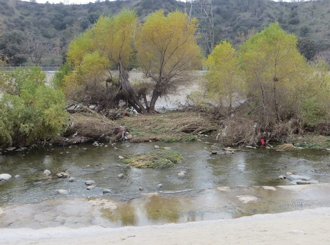 winte3r on Los Angeles River at Glendale Narrows