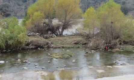 winte3r on Los Angeles River at Glendale Narrows