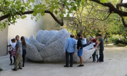 Rose for Lily fountain disney hall Los Angeles