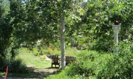 arlington Garden Pasadena