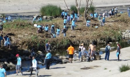 people cleaning banks of L.A. River