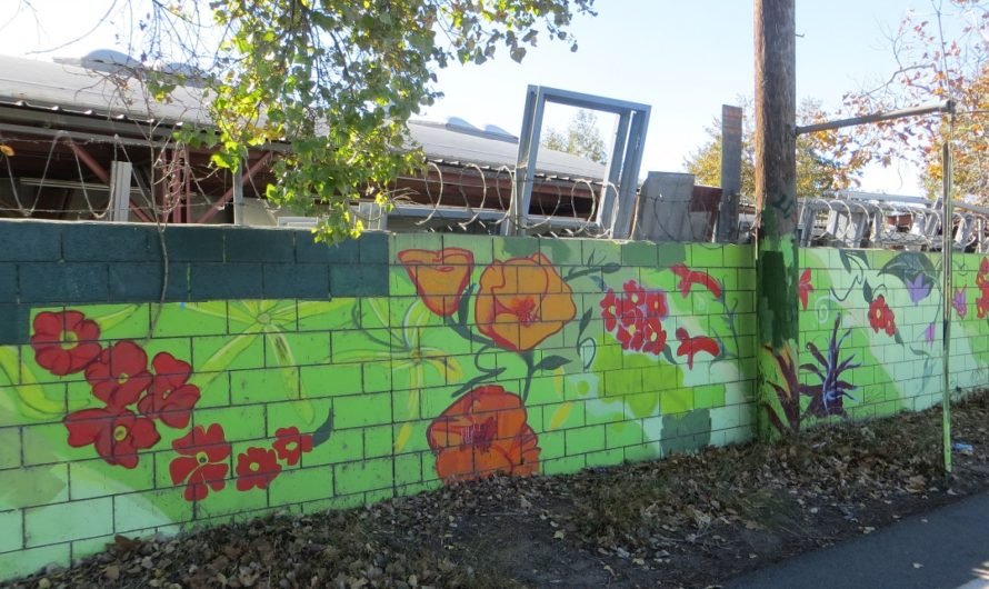 The gentrification of the Los Angeles River is underway and it isn’t pretty!