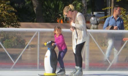 ice skating with penguin pershing square