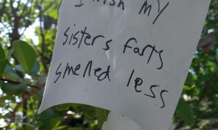 wish at Yoko Ono garden Pasadena 2017