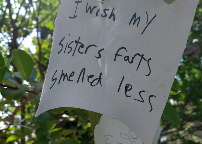 The Yoko Ono Wish Tree garden in Pasadena