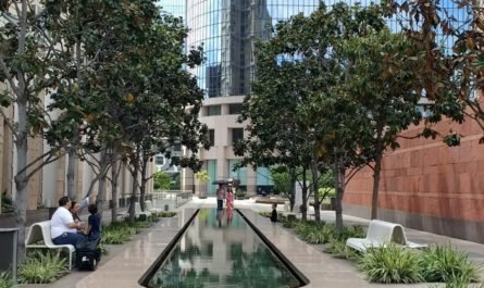 reflecting pool by MOCA Los Angeles 2017