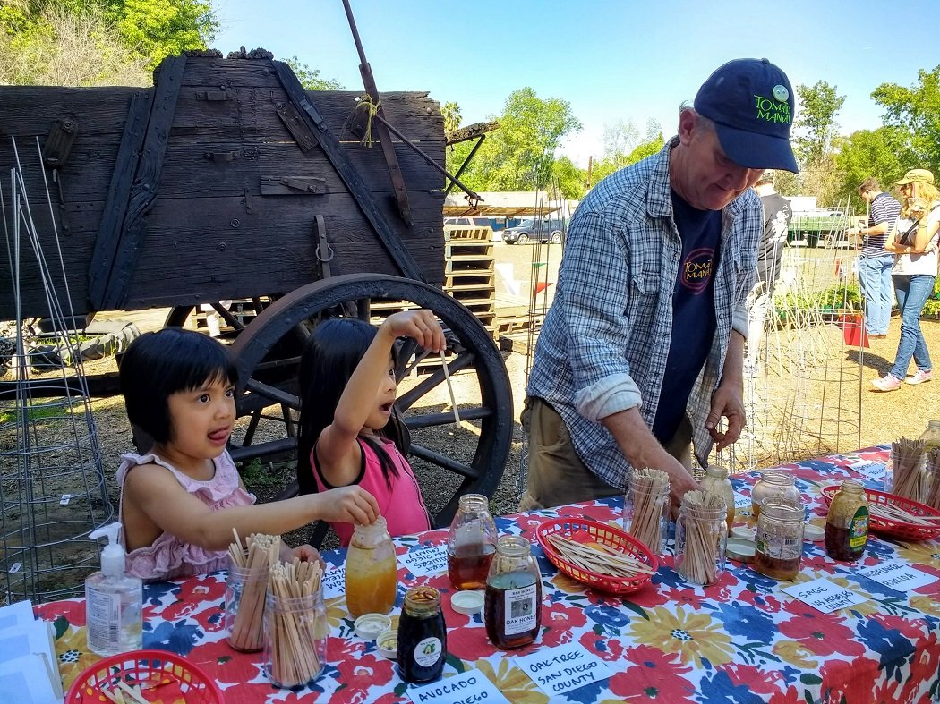 sampling natural honey