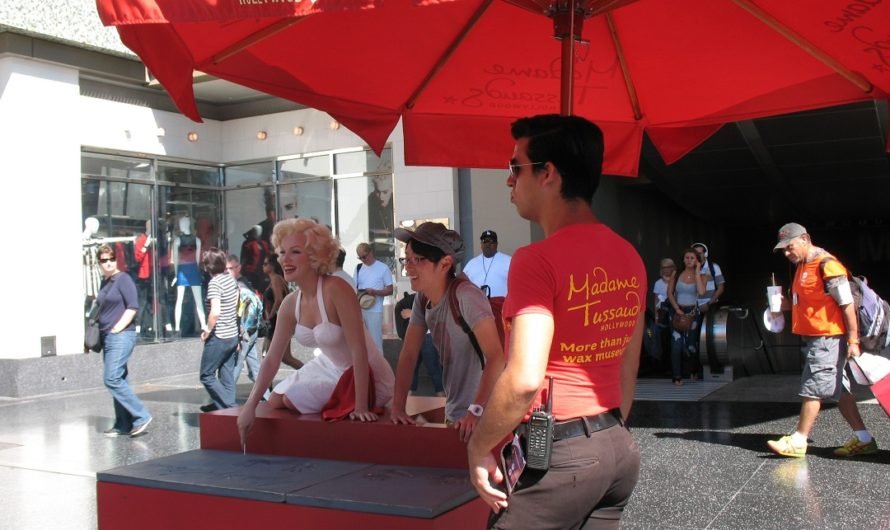 You won’t find movie stars on Hollywood Blvd.